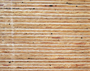 cdx_plywood